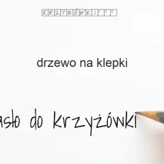Masz "drewno na klepki podłogowe" w krzyżówce? Oto odpowiedzi!