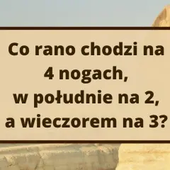 Zagadki nie do rozwiązania: Czy to mit? Logika, paradoksy, miliony.