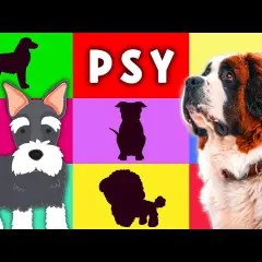 Zagadki o psie: Gotowe pomysły. Baw się z dziećmi i dorosłymi!