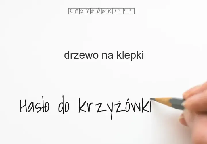 Masz "drewno na klepki podłogowe" w krzyżówce? Oto odpowiedzi!