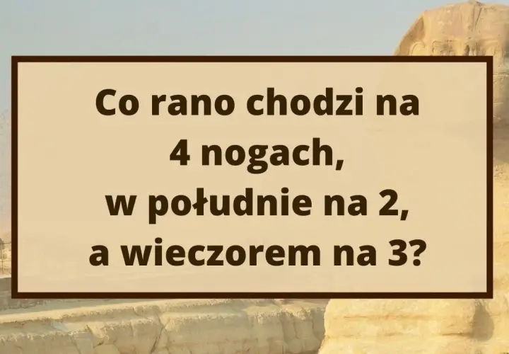 Zagadki nie do rozwiązania: Czy to mit? Logika, paradoksy, miliony.
