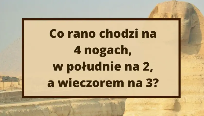 Zagadki nie do rozwiązania: Czy to mit? Logika, paradoksy, miliony.