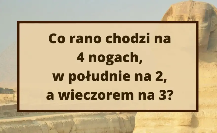 Zagadki nie do rozwiązania: Czy to mit? Logika, paradoksy, miliony.